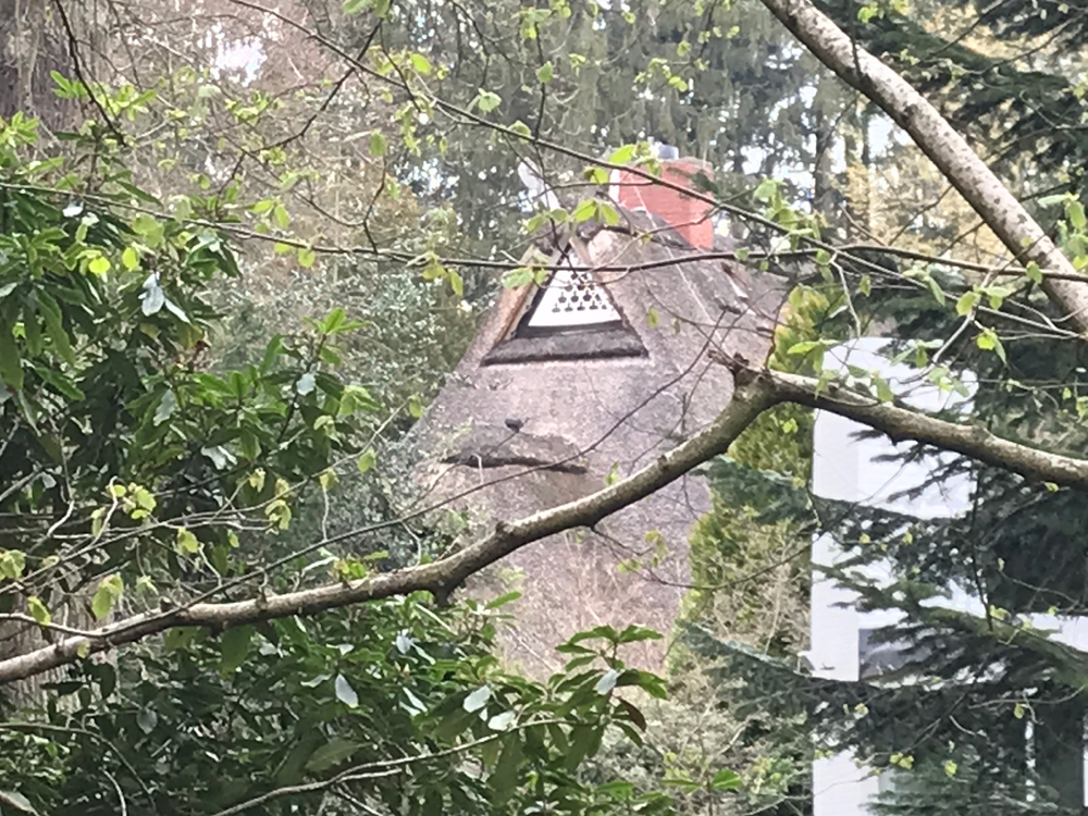 Dach eines Reetdachhauses