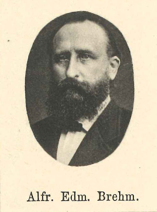 Portraitfoto mit ovalem Passepartout eines Mannes mit Vollbart