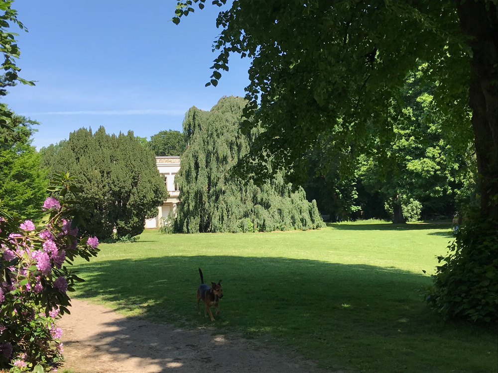 Park mit Villa im Hintergrund